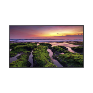 Pantalla Profesional LED de 55", UHD 4K (3840x2160p), Entradas de Video HDMI, Bocinas Integradas de 10 W. Compatible VESA